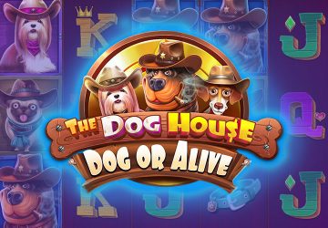 Microgaming - игровой автомат онлайн от Various с RTP 96.51%